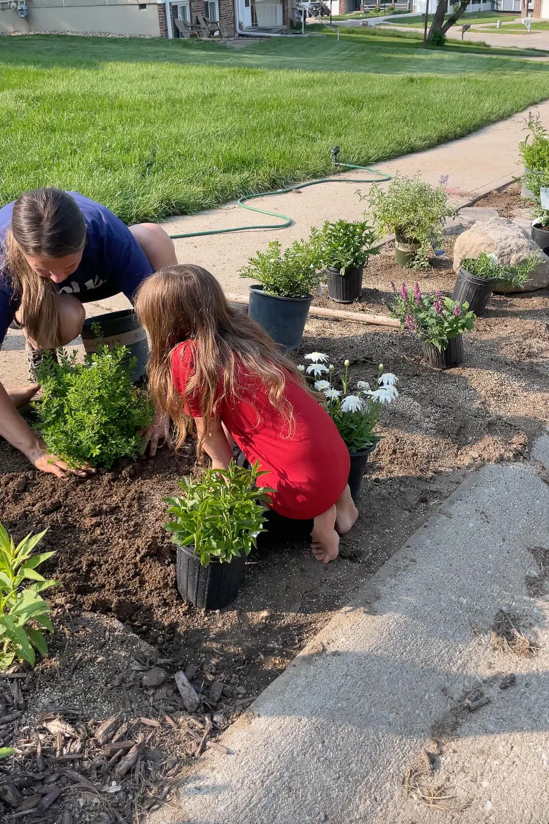 Mother and daughter working together to plant flowering bushes and perennials in a freshly prepped flower bed as part of a DIY exterior house remodel. Potted plants are spread across the soil near a sidewalk on a sunny day.